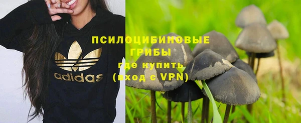 синтетический гашиш Белокуриха