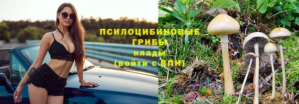 винт Покров